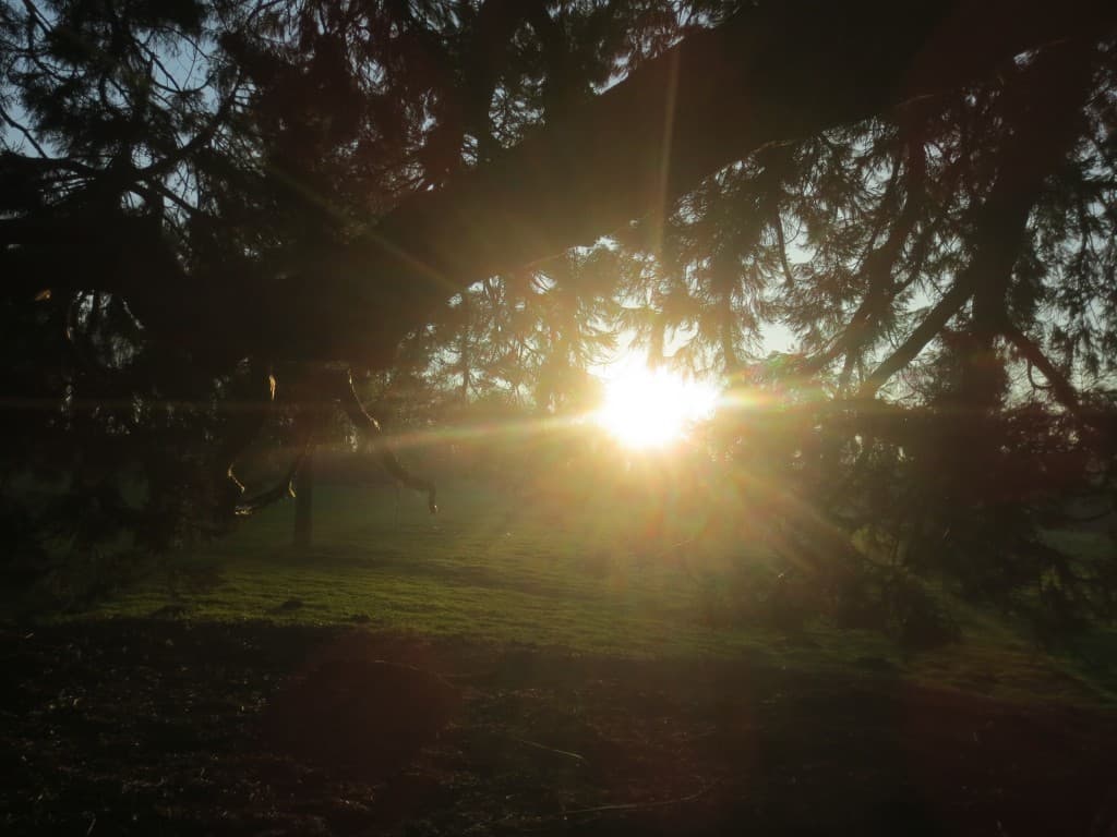 Soleil plongeant de Janvier par -4 degrés....
