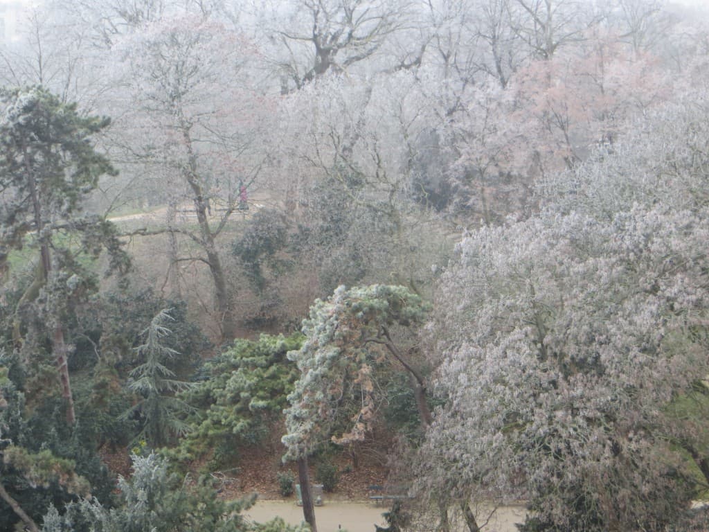 un peu de givre sur les feuilles
