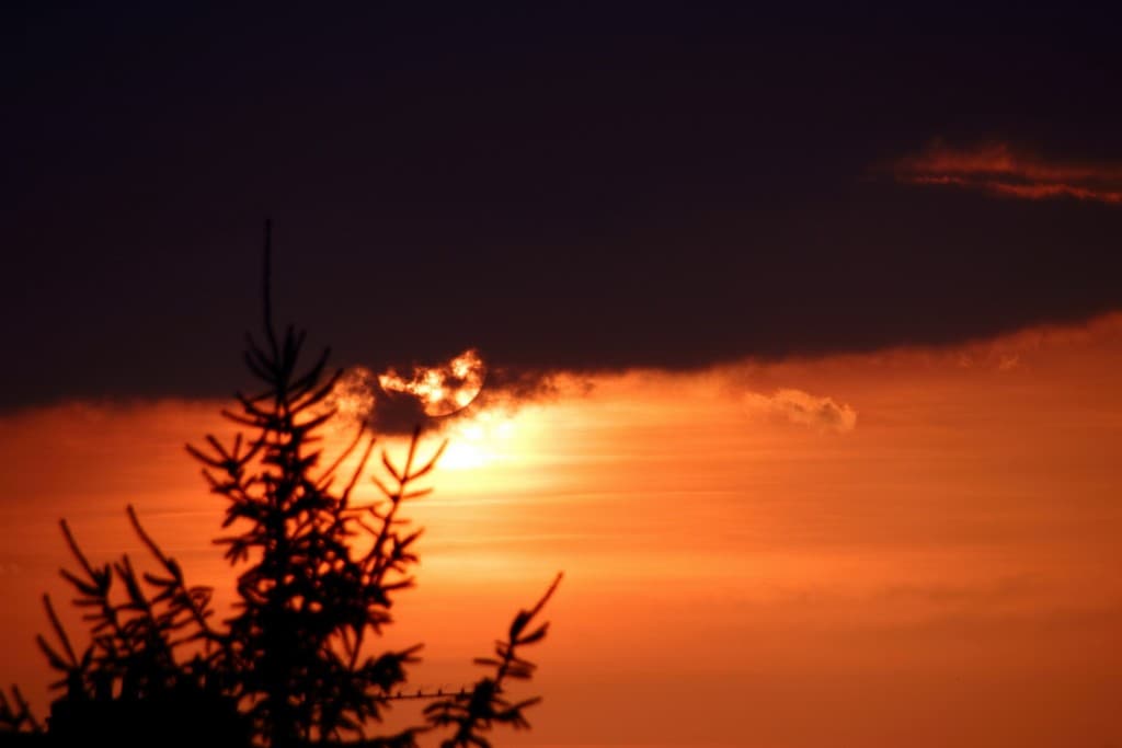 Un soleil de feu