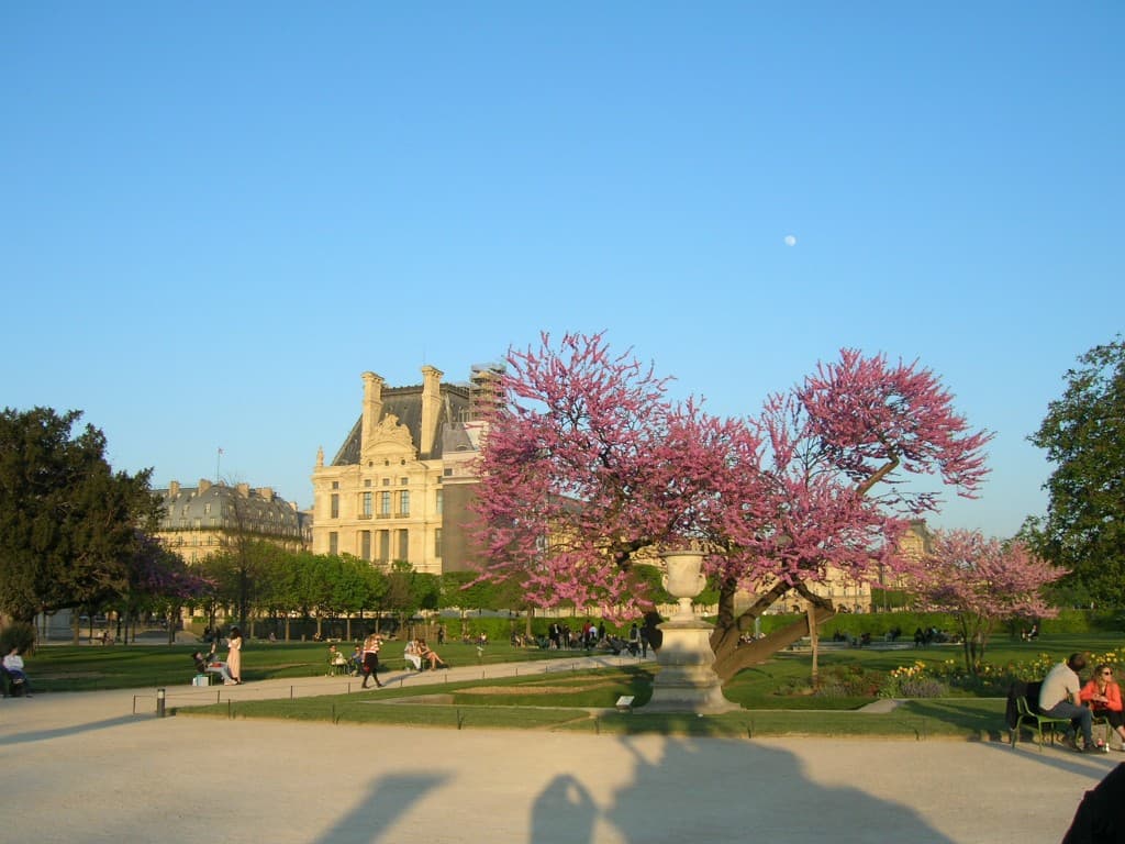 75008 parc
