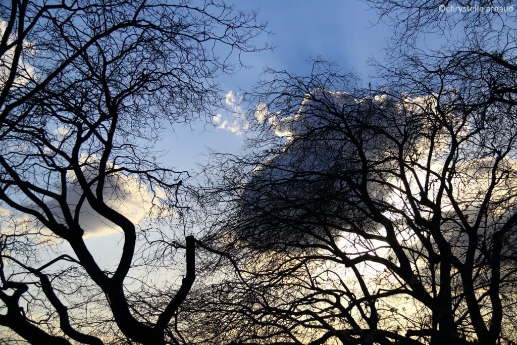 A Montmartre