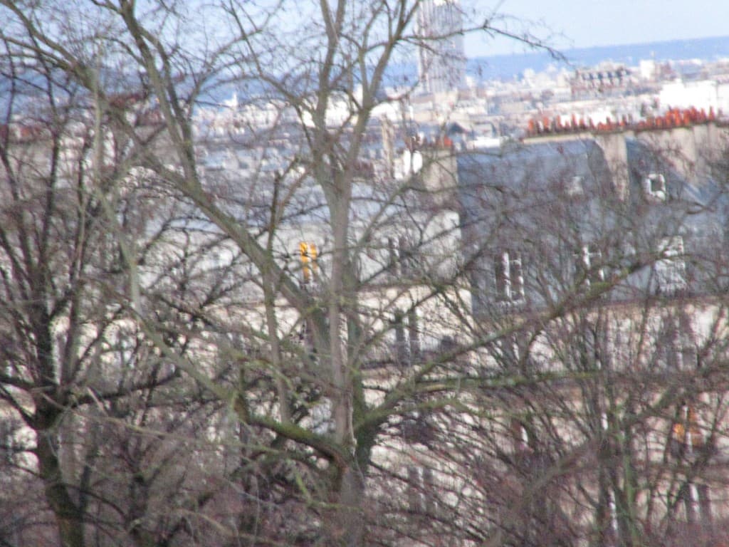 arbres dénudés dans la rue Manin