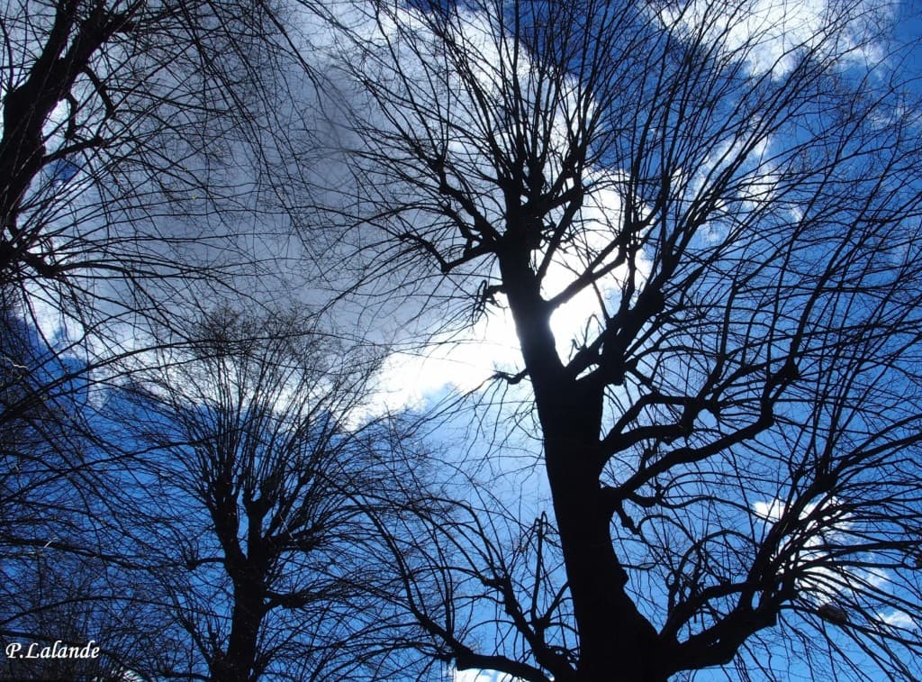 beauté de la nature