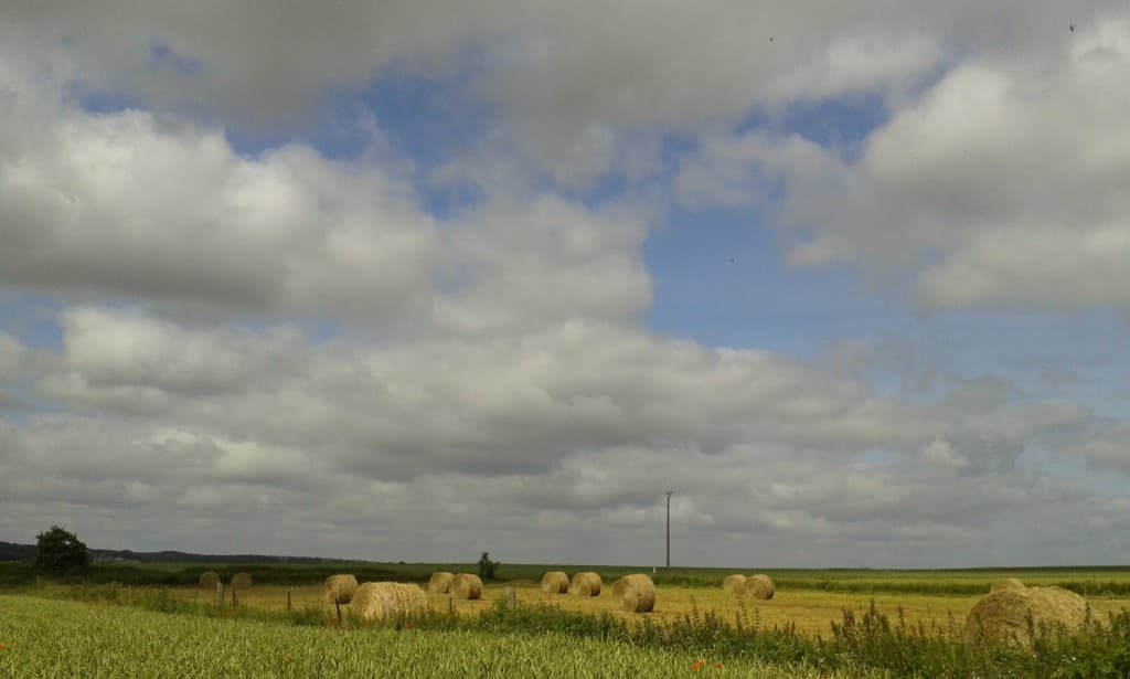 Belle fin d'après midi