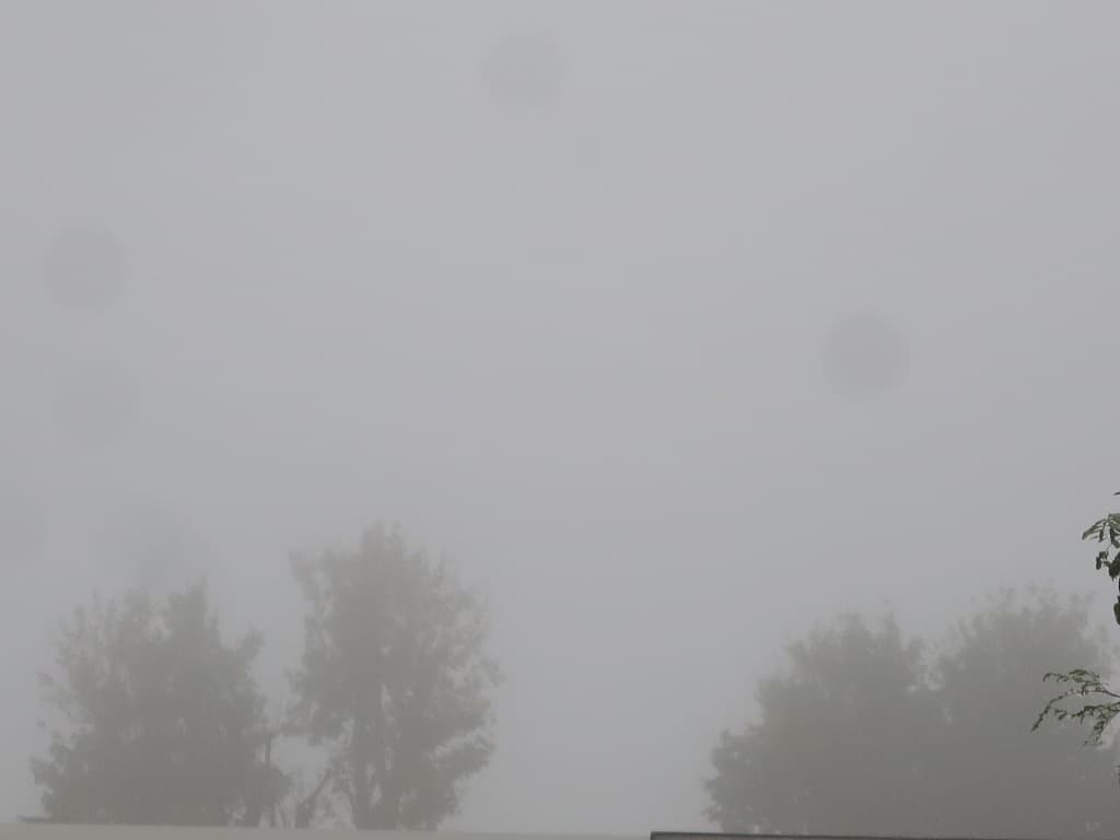 Brouillard dense