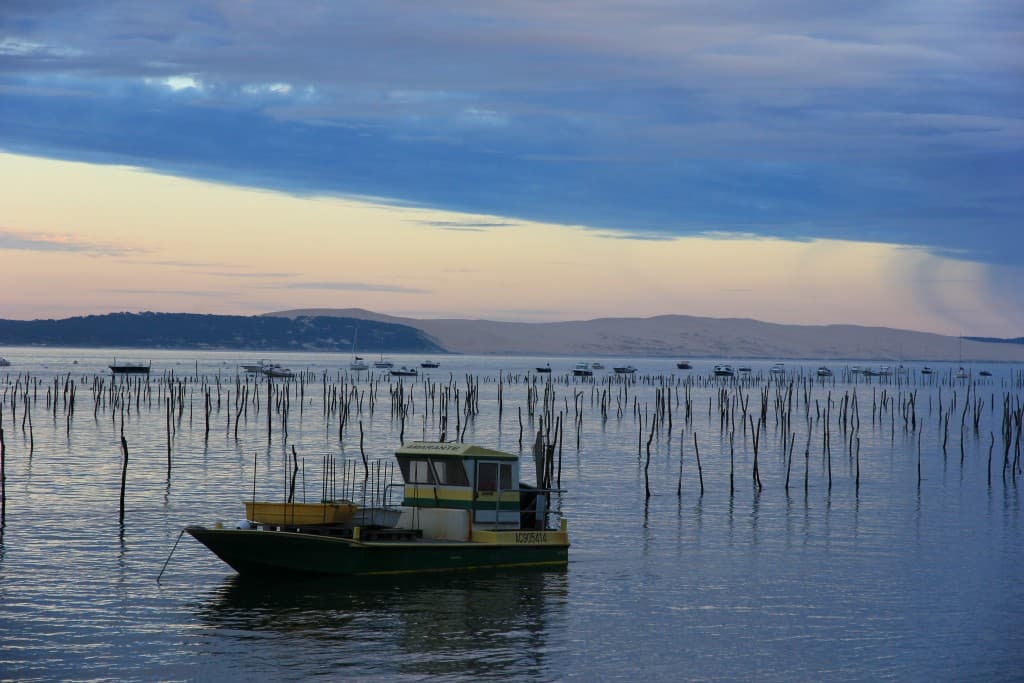 Cap Ferret