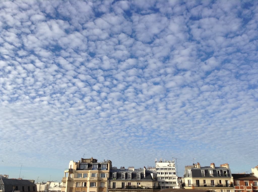 ce matin
