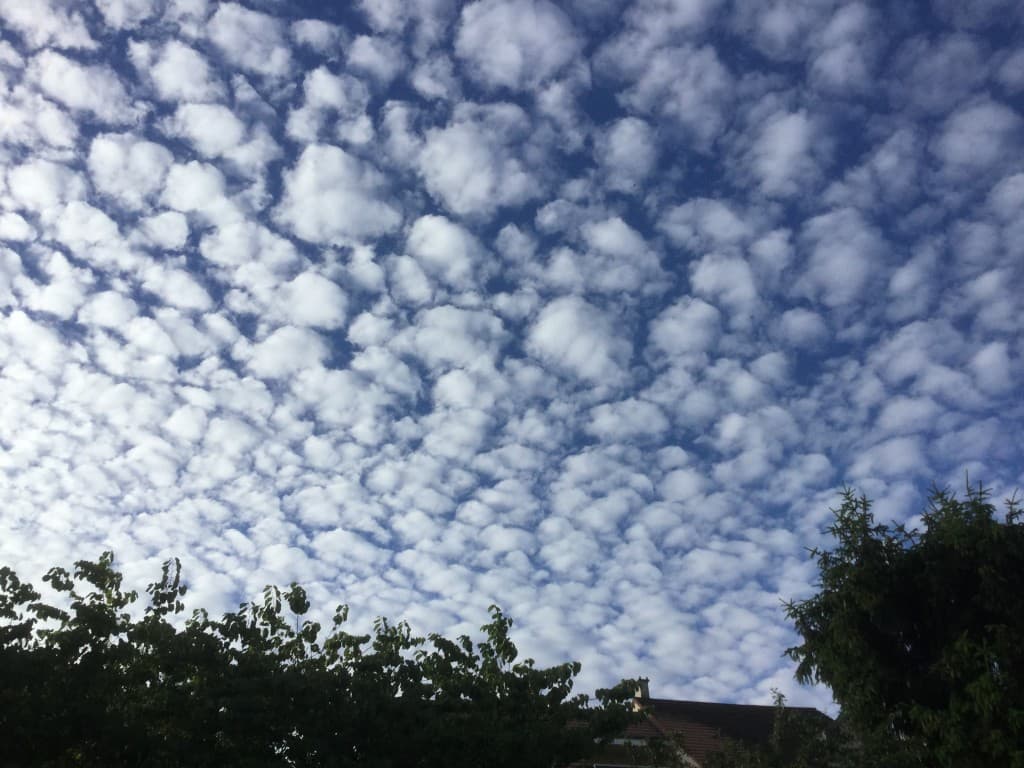 Ciel pommelé du matin