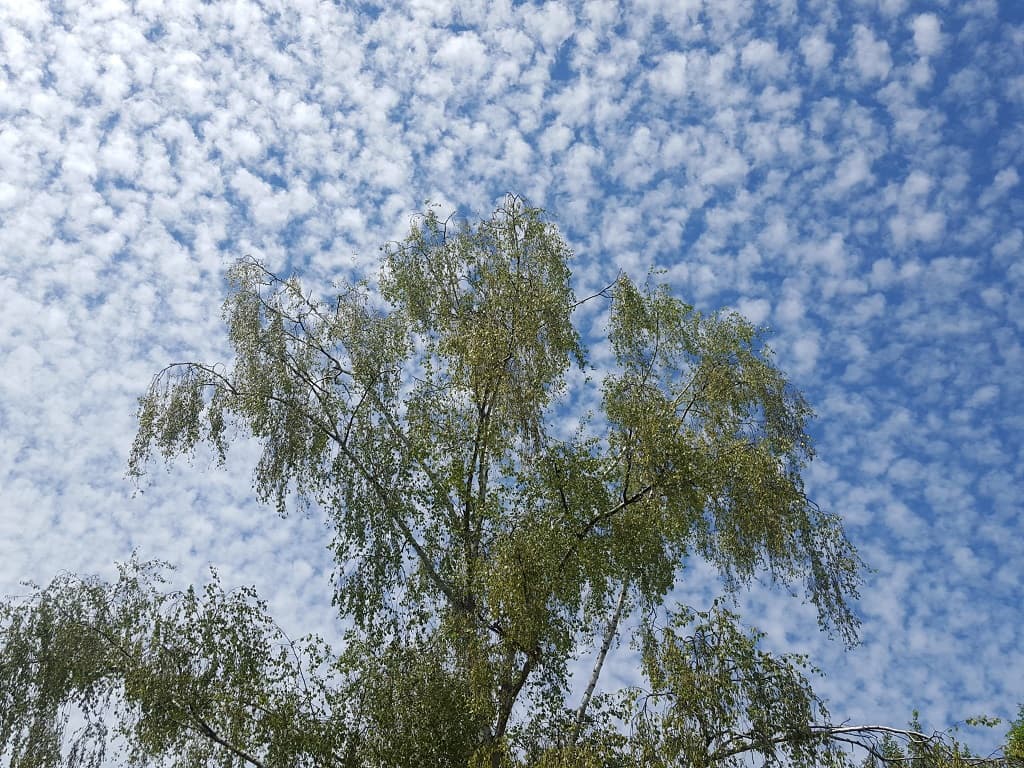 Ciel pommelé