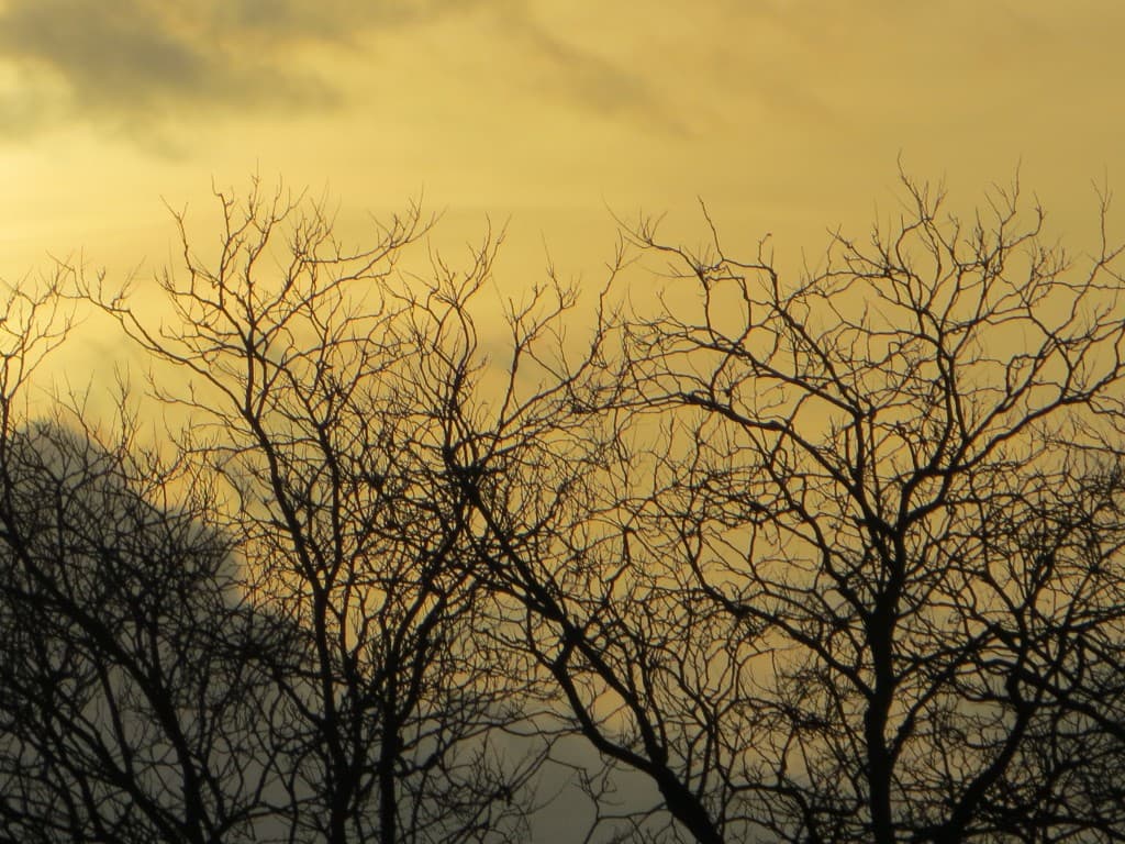 ciel 