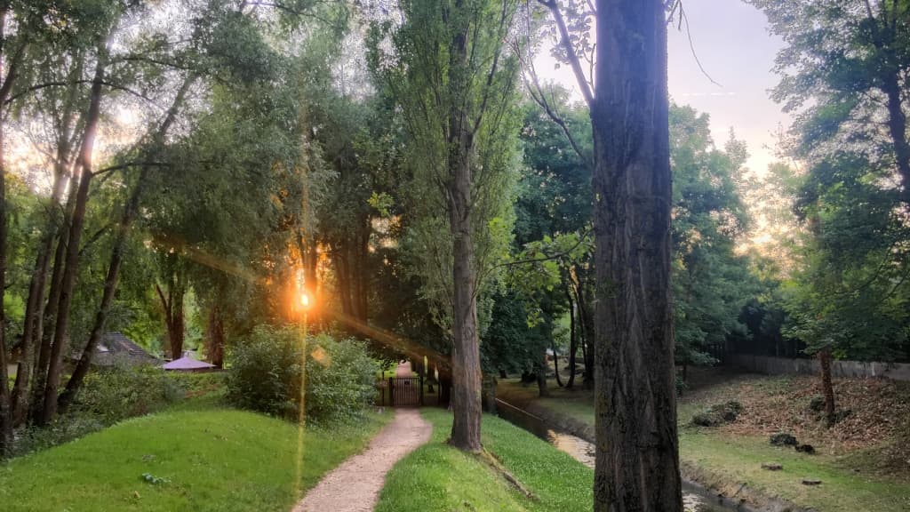 couché de soleil