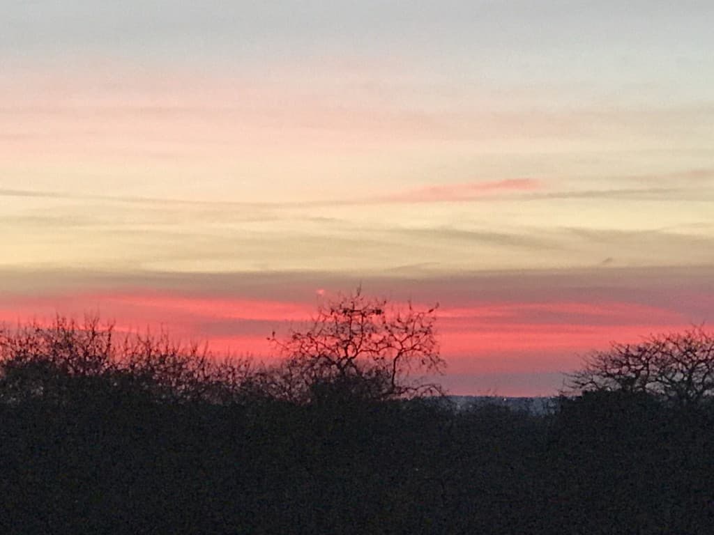coucher de roses wt