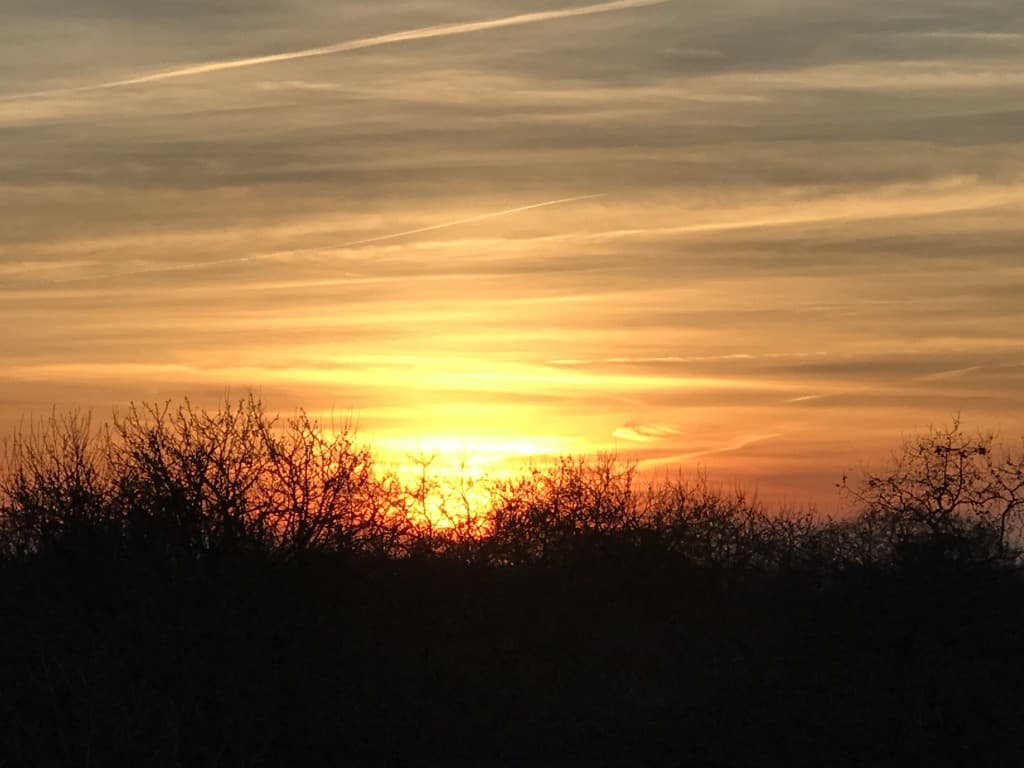 coucher en feu wt