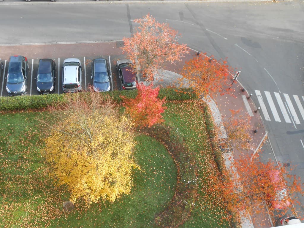 Couleurs automnale et printanière