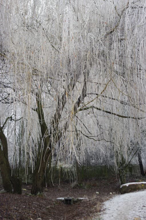 Dans le parc des Beaumonts