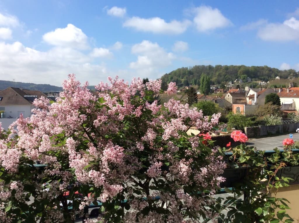 Déjà le Lilas 