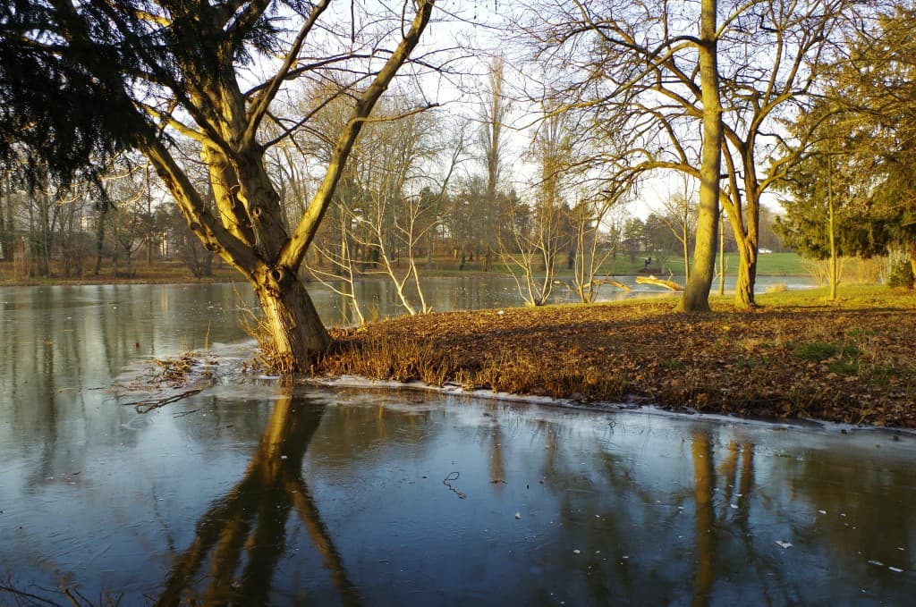 Etang gelé ...