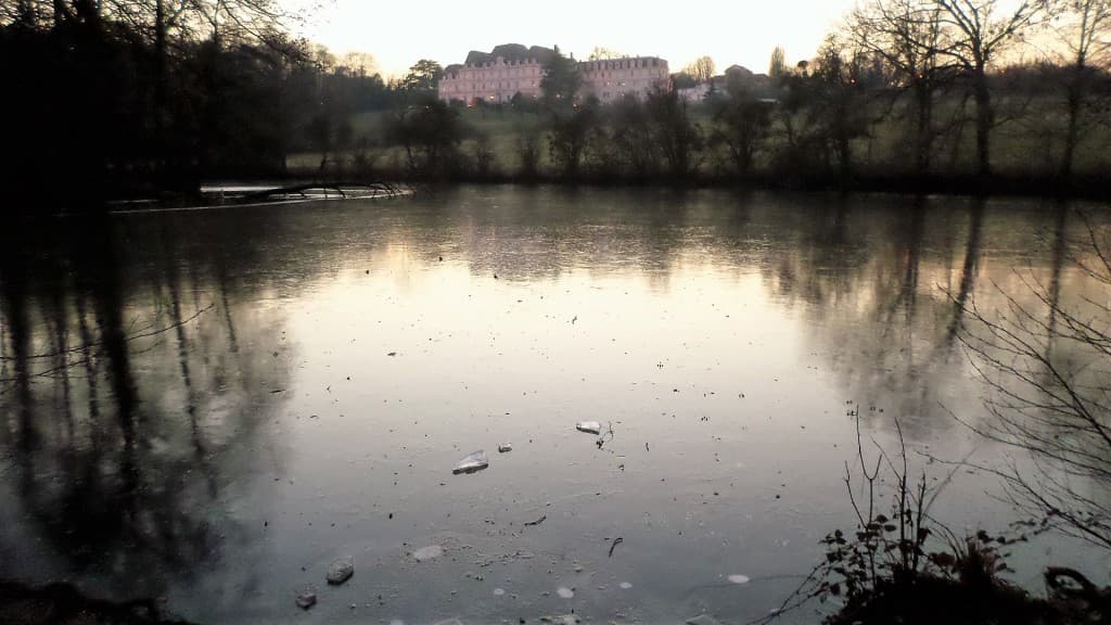Etangs de St Michel sur Orge Gelés
