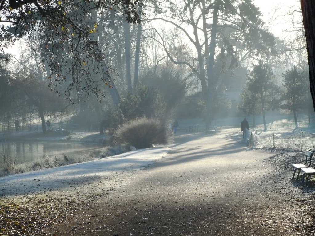 givre en décembre