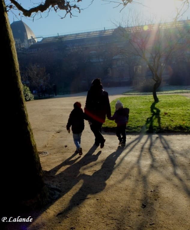 Jardin des plantes