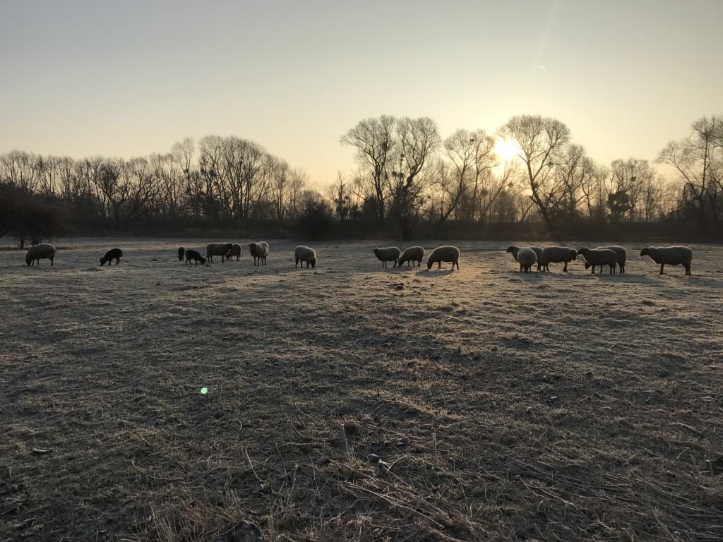 L'hiver polaire en bord de Seine