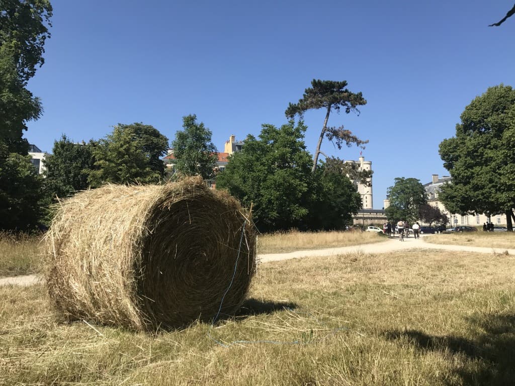 La campagne à Vincennes