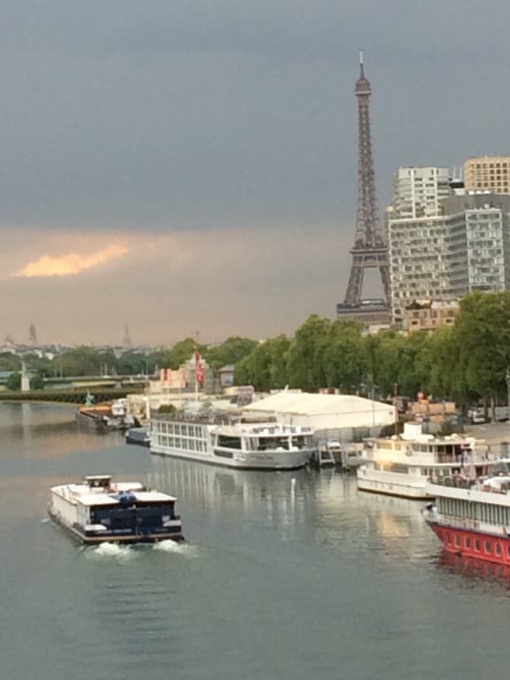 La Seine depuis le pont du Garigliano