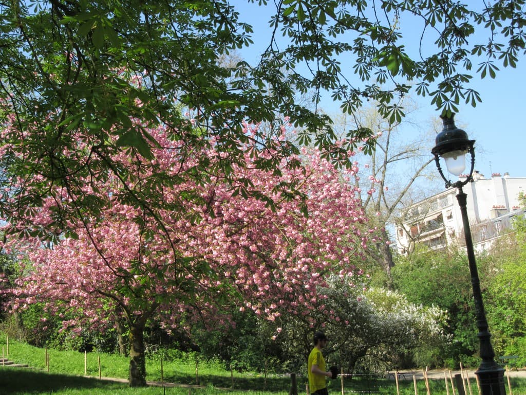 le parc