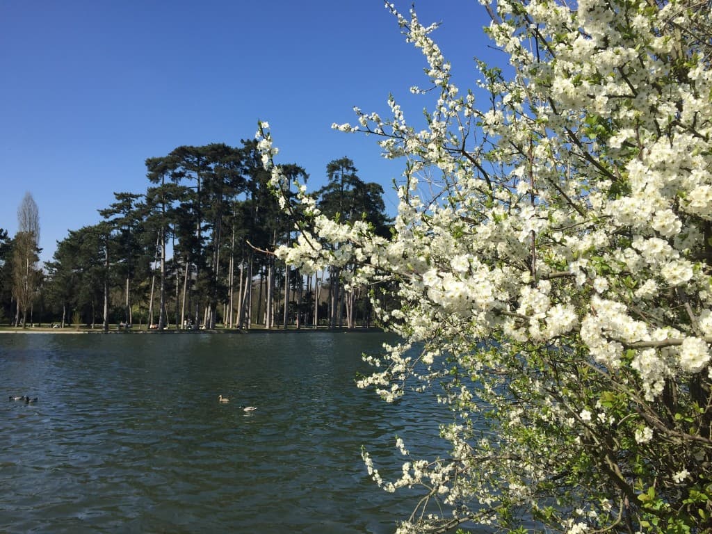 Le printemps arrive