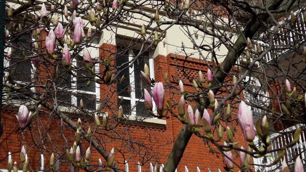 Le Printemps est là....