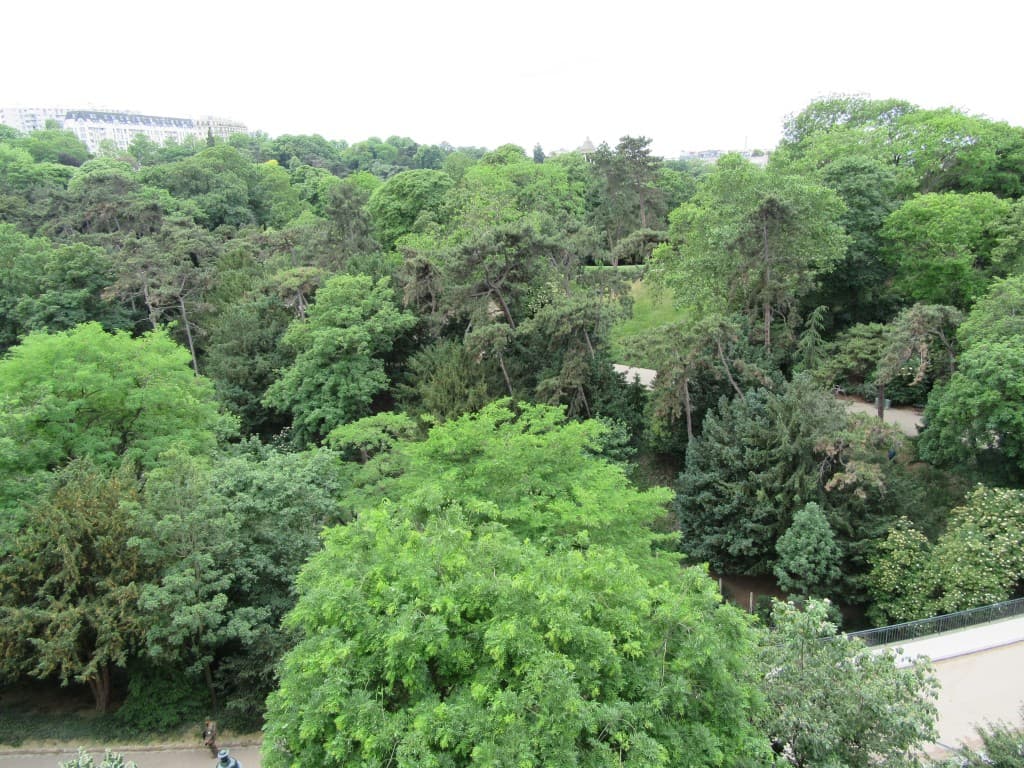 les arbres en beauté