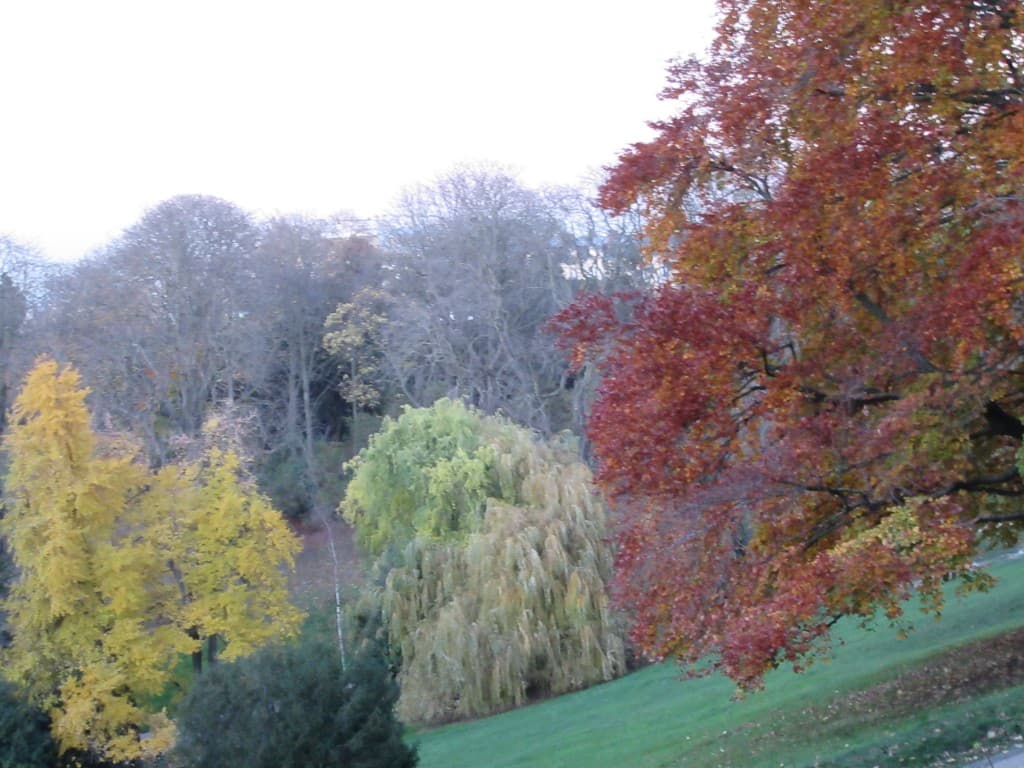 les buttes de chaumont