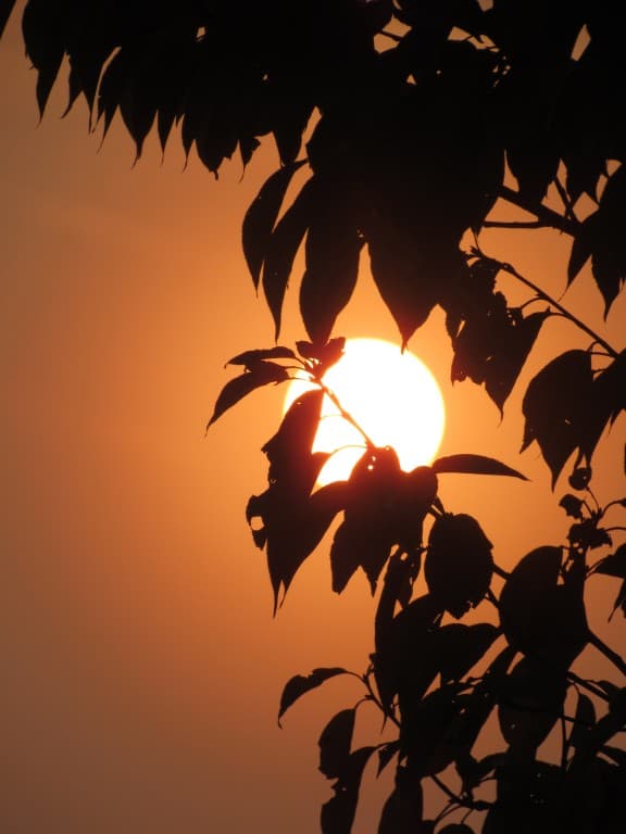 Lever de soleil Picard