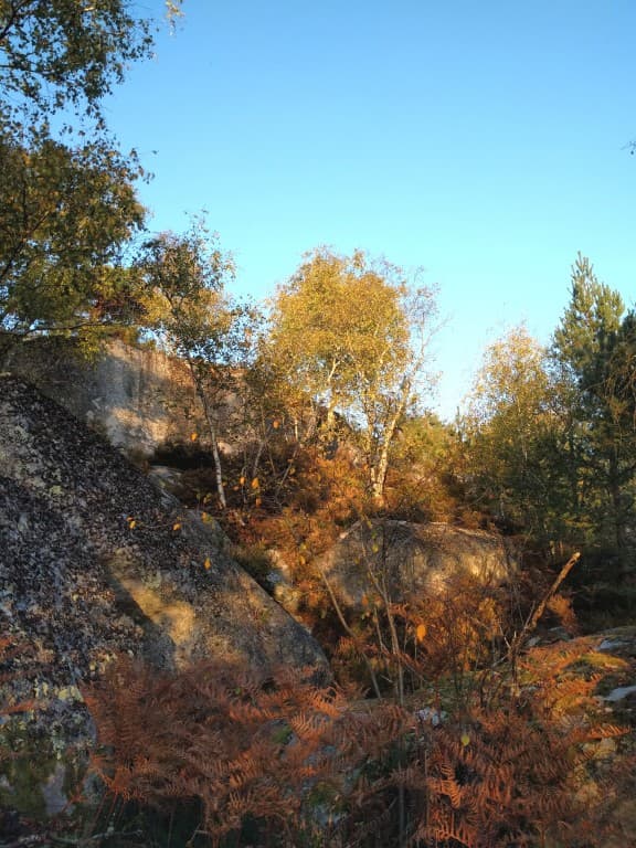Lumières d 'Automne
