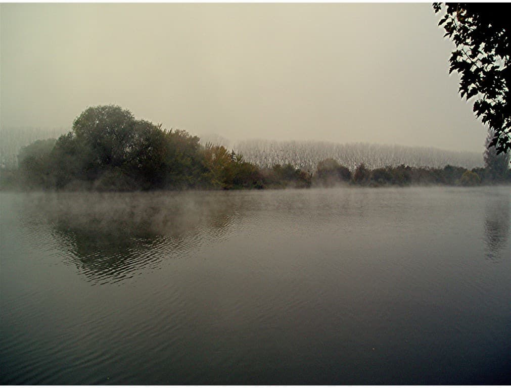 matin de brume en Seine