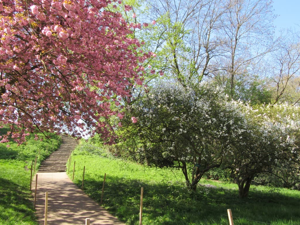 parc des buttes de chaumont
