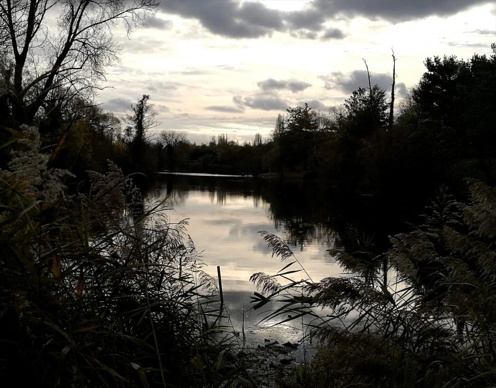 Parc interdépartemental de Choisy le Roi