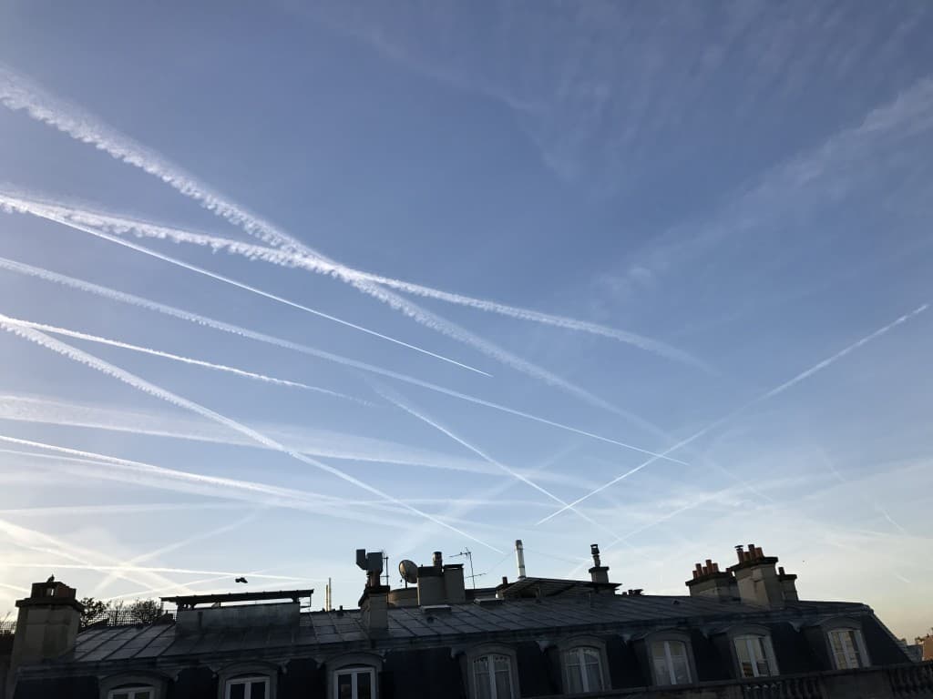 Paris griffé wt
