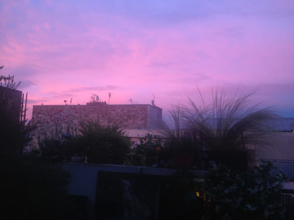 pink follies