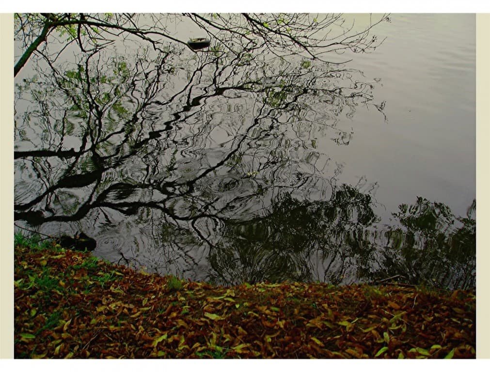reflets sous la pluie