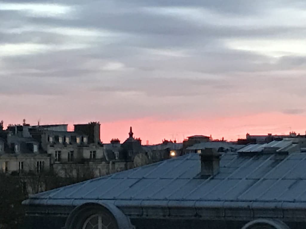 samedi en rose