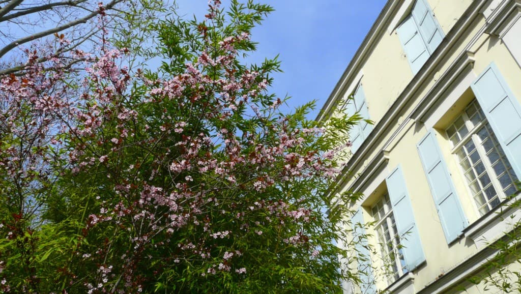 Un p'ti air de Printemps....