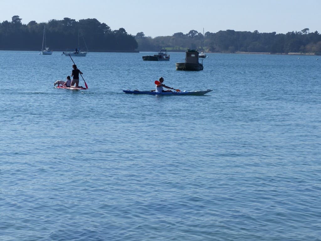 Un tour de paddle