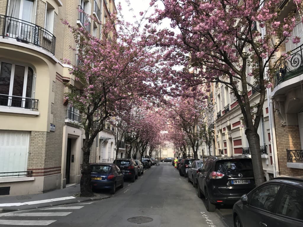 Vincennes en fleurs