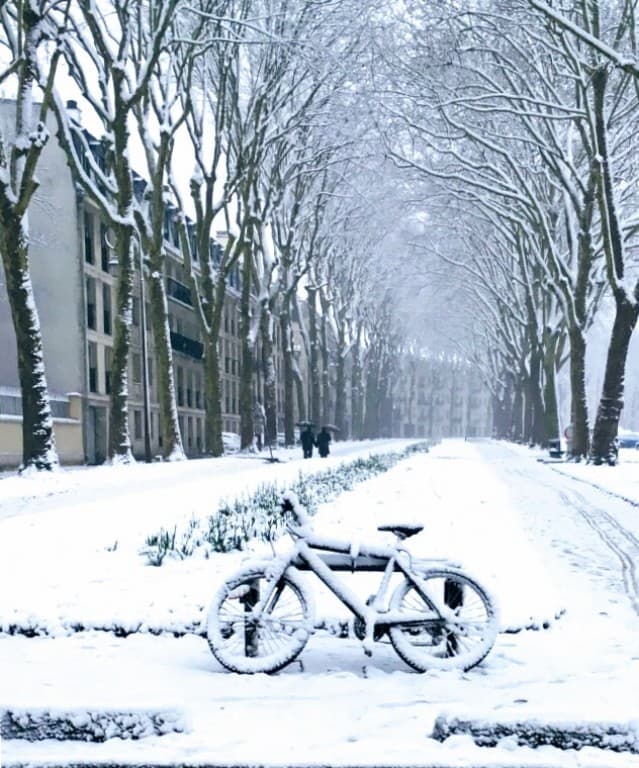Avenue de Paris