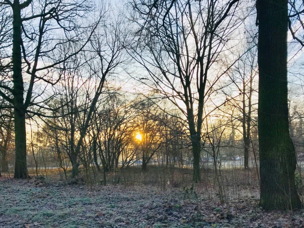 Bois de Vincennes au petit matin