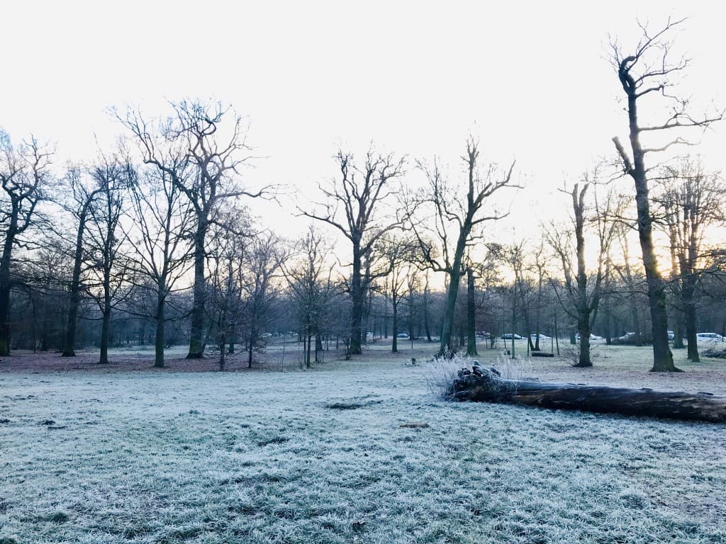 Bois de Vincennes