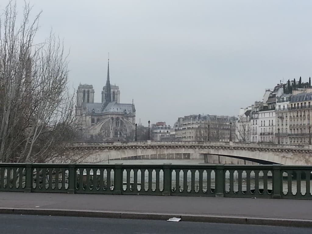 Brume de janvier