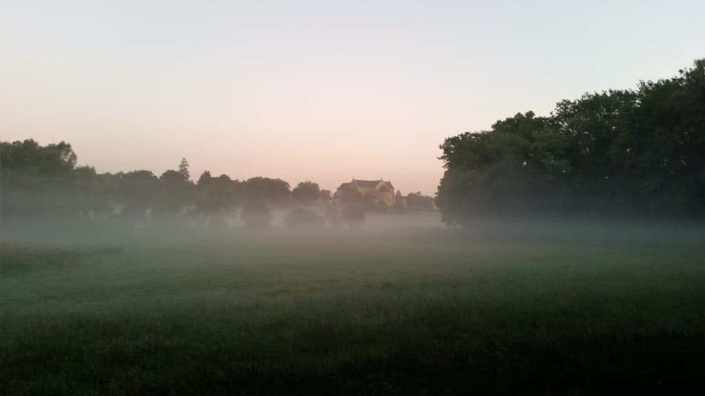 Brume matinale