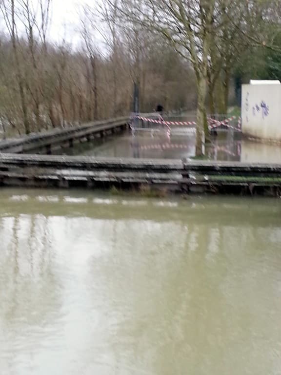 chemin de promenade noyé